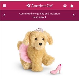 American Girl Doll Pet Ballerina Outfit